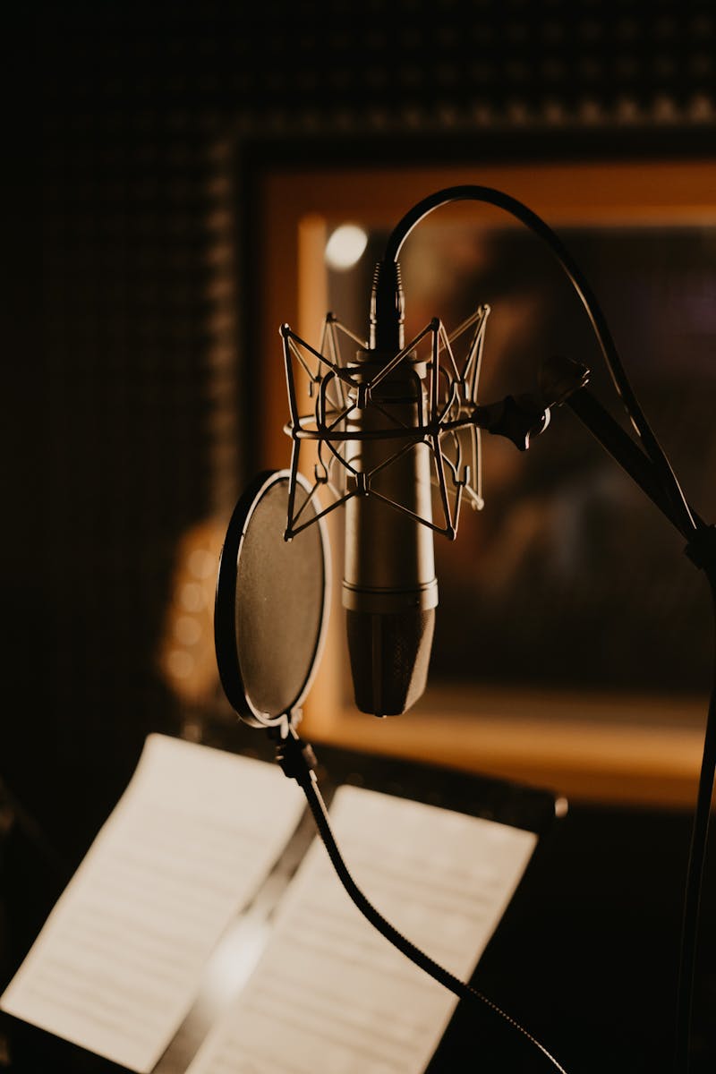 Micrófono de condensador con pop filter